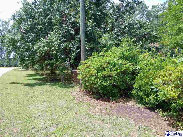 221 Pecan Drive, Cheraw, SC 29520