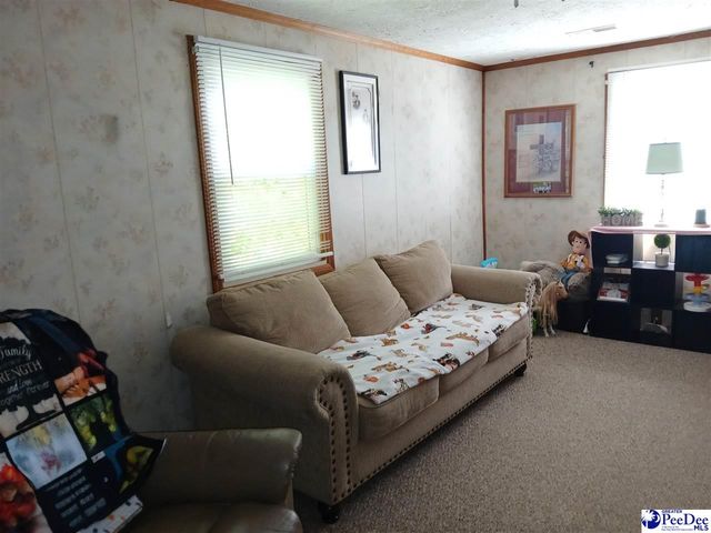 221 Pecan Drive, Cheraw, SC 29520
