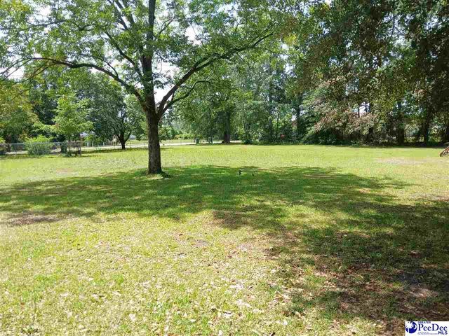 221 Pecan Drive, Cheraw, SC 29520