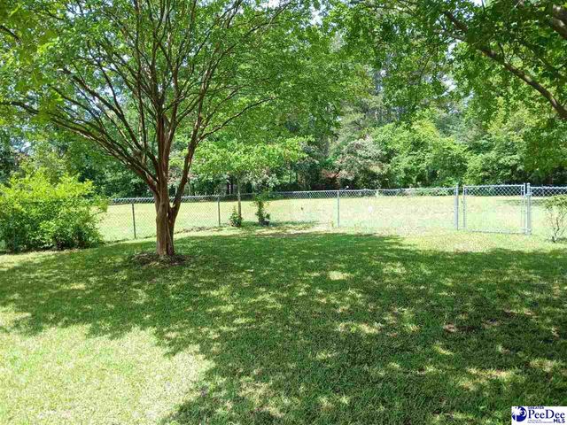 221 Pecan Drive, Cheraw, SC 29520