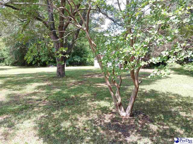 221 Pecan Drive, Cheraw, SC 29520