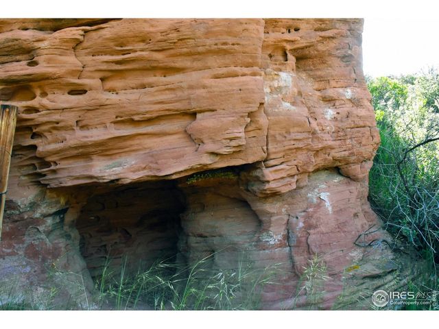 1364 Red Bluff Rd, Livermore, CO 80536