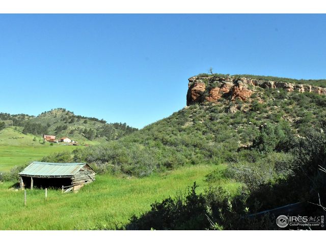 1364 Red Bluff Rd, Livermore, CO 80536
