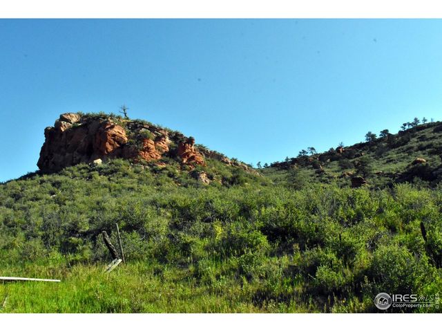 1364 Red Bluff Rd, Livermore, CO 80536