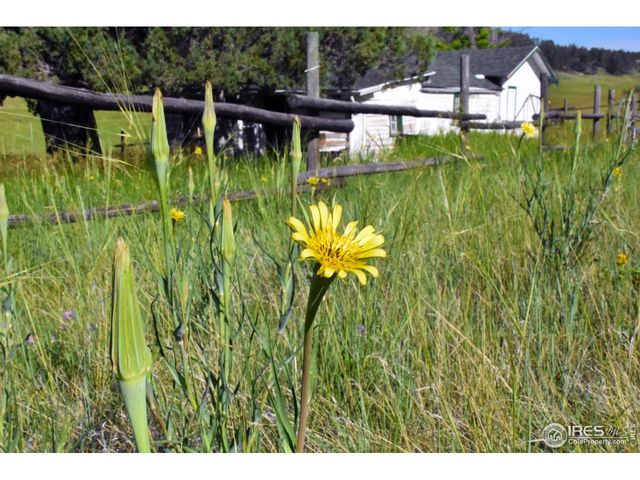 1364 Red Bluff Rd, Livermore, CO 80536