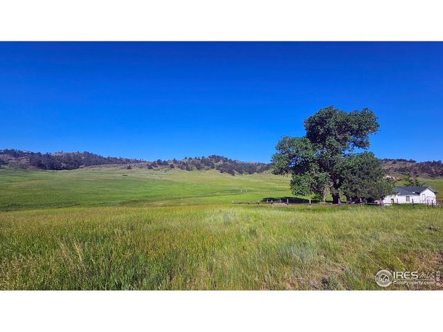 1364 Red Bluff Rd, Livermore, CO 80536