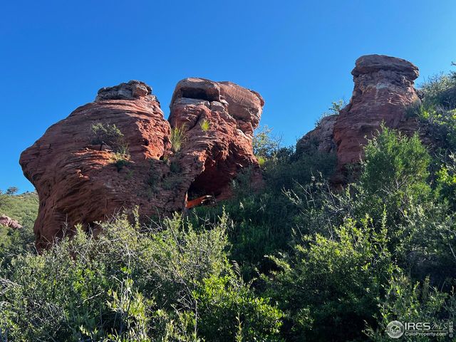 1364 Red Bluff Rd, Livermore, CO 80536