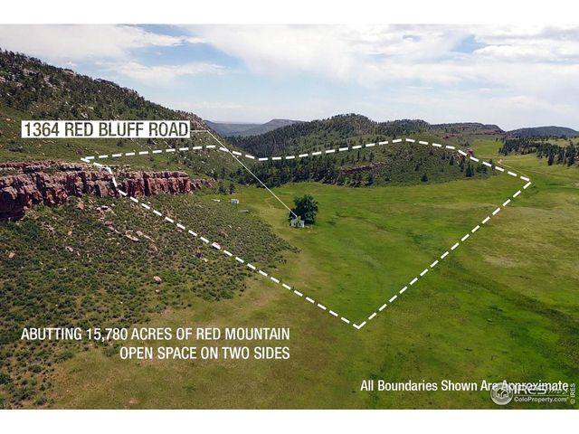 1364 Red Bluff Rd, Livermore, CO 80536
