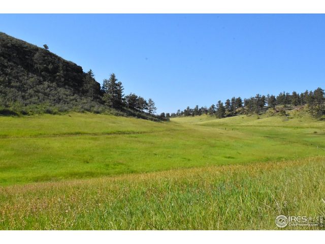 1364 Red Bluff Rd, Livermore, CO 80536