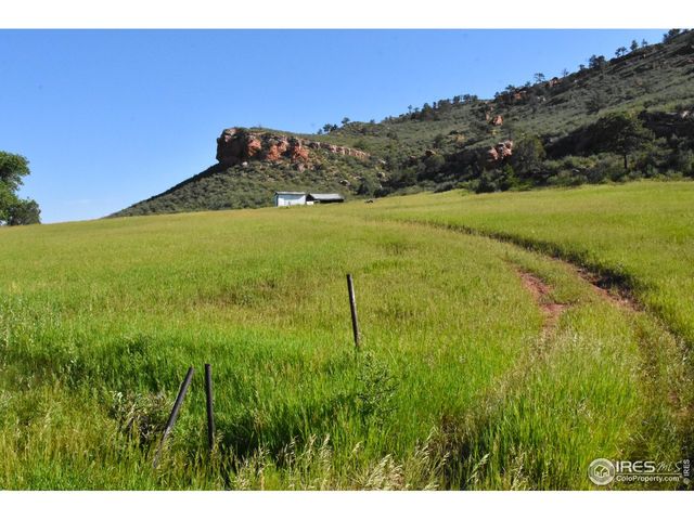 1364 Red Bluff Rd, Livermore, CO 80536