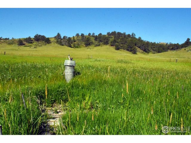 1364 Red Bluff Rd, Livermore, CO 80536