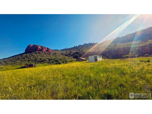 1364 Red Bluff Rd, Livermore, CO 80536