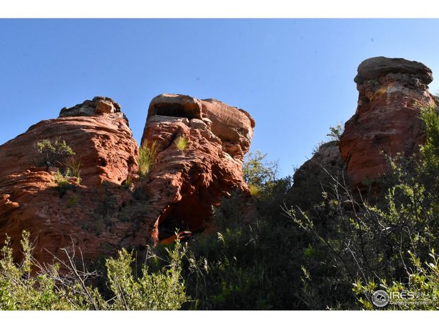 1364 Red Bluff Rd, Livermore, CO 80536