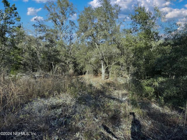 00 LAKE LUCY Court, Interlachen, FL 32148