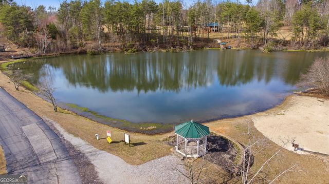 445 Skyview Circle, Clarkesville, GA 30523