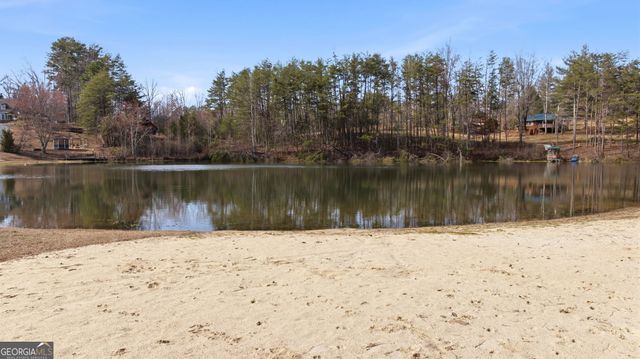 445 Skyview Circle, Clarkesville, GA 30523