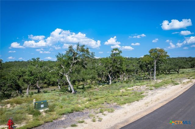 1918 Paradise Parkway, Canyon Lake, TX 78133