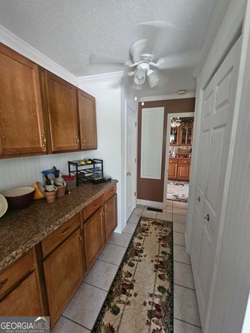 87 Georgia Avenue, Adrian, GA 31002