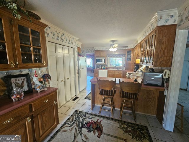 87 Georgia Avenue, Adrian, GA 31002