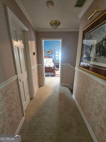 87 Georgia Avenue, Adrian, GA 31002