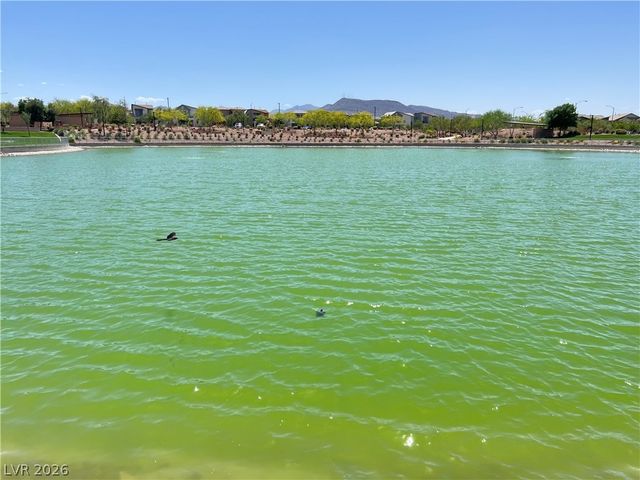 108 Brielle Beacon Lane, Henderson, NV 89011