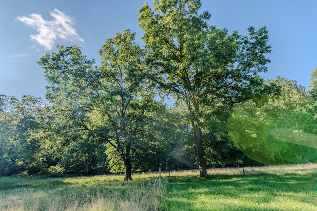 5502 Ridgelea RD, Roanoke, VA 24018