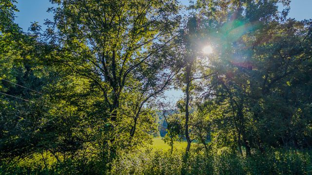 5502 Ridgelea RD, Roanoke, VA 24018