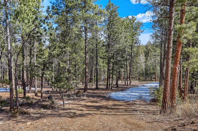 249 Territory Drive, Pine, CO 80470
