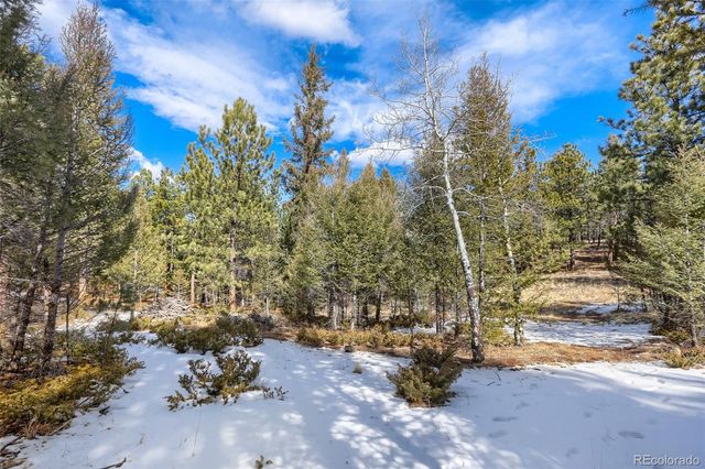 249 Territory Drive, Pine, CO 80470