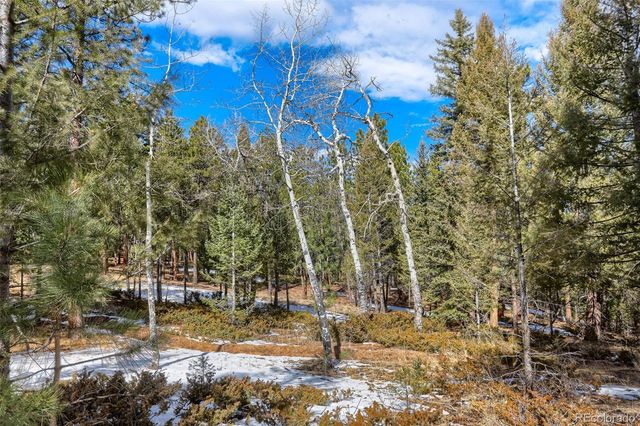 249 Territory Drive, Pine, CO 80470