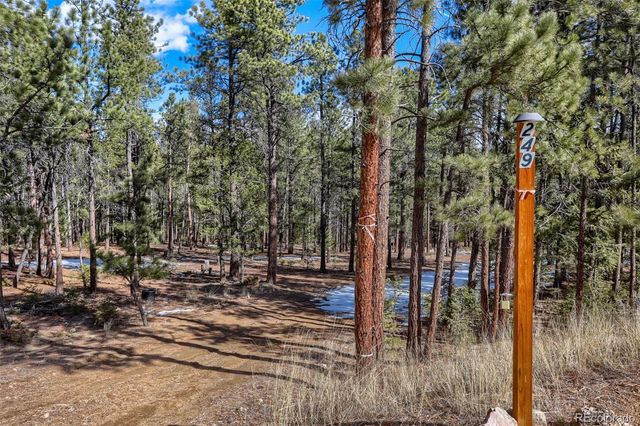 249 Territory Drive, Pine, CO 80470