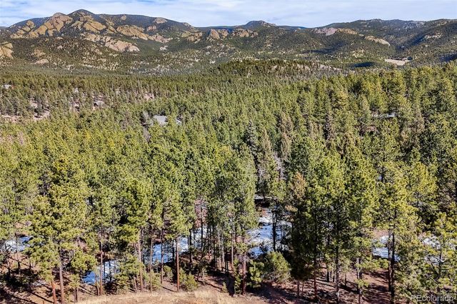 249 Territory Drive, Pine, CO 80470