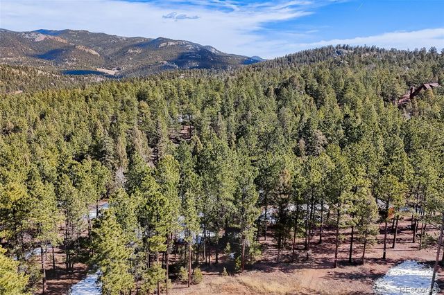 249 Territory Drive, Pine, CO 80470