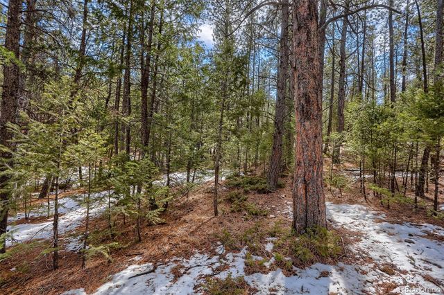 249 Territory Drive, Pine, CO 80470