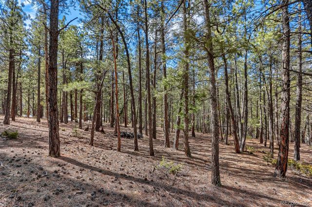 249 Territory Drive, Pine, CO 80470