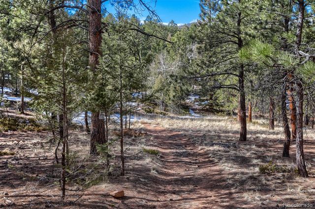 249 Territory Drive, Pine, CO 80470
