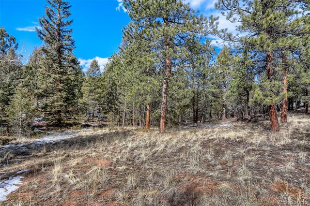 249 Territory Drive, Pine, CO 80470