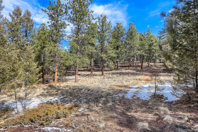 249 Territory Drive, Pine, CO 80470