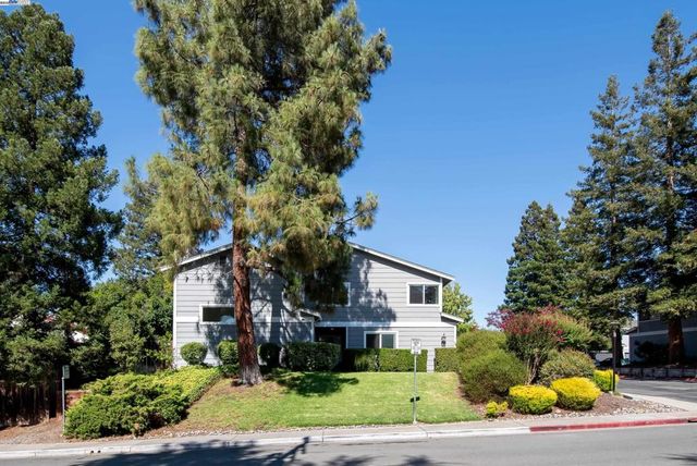 498 Via Royal, Walnut Creek, CA 94597