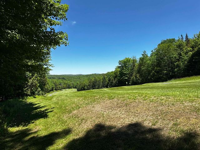 78 Greensward Drive, Grantham, NH 03753