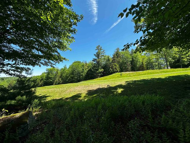 78 Greensward Drive, Grantham, NH 03753