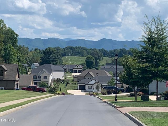 22 Planted Stone Court, Jonesborough, TN 37659