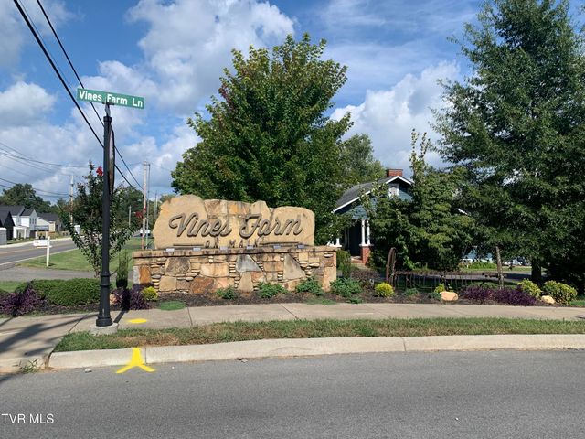 22 Planted Stone Court, Jonesborough, TN 37659