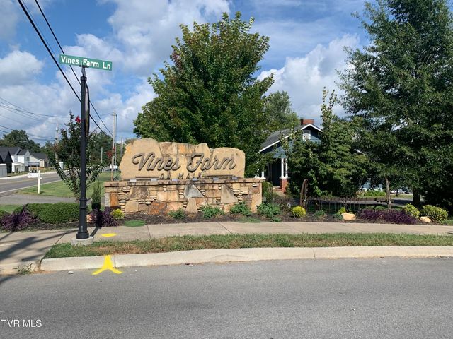 22 Planted Stone Court, Jonesborough, TN 37659