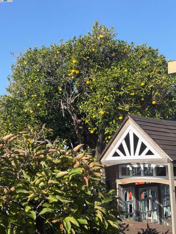 963 Dillo St, San Leandro, CA 94578