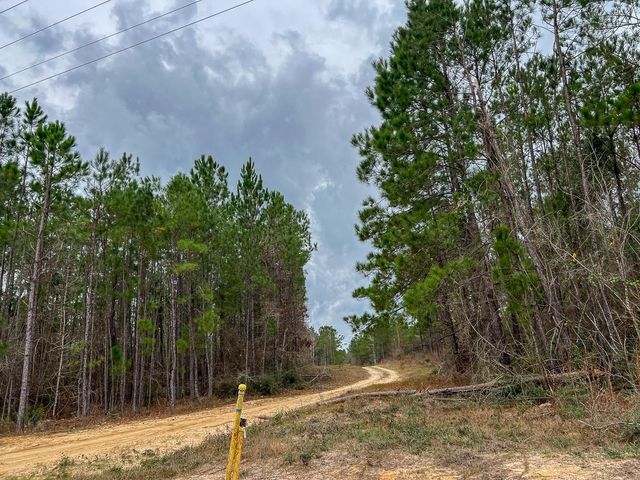 T-3 Farm To Market 1012, Newton, TX 75966