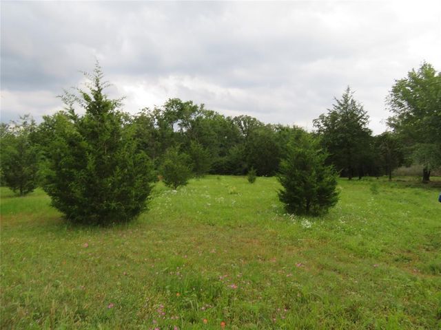 1898 Fm 489, Oakwood, TX 75855