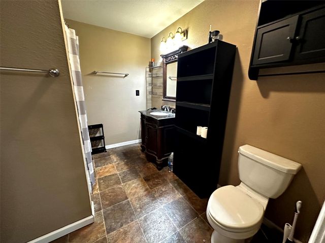 629 Hidden Oaks Drive, Point Blank, TX 77364