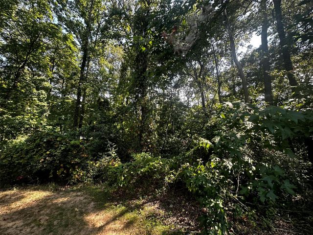 629 Hidden Oaks Drive, Point Blank, TX 77364