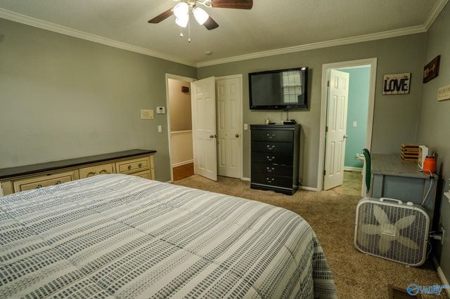 1607 County Road 227, Moulton, AL 35650